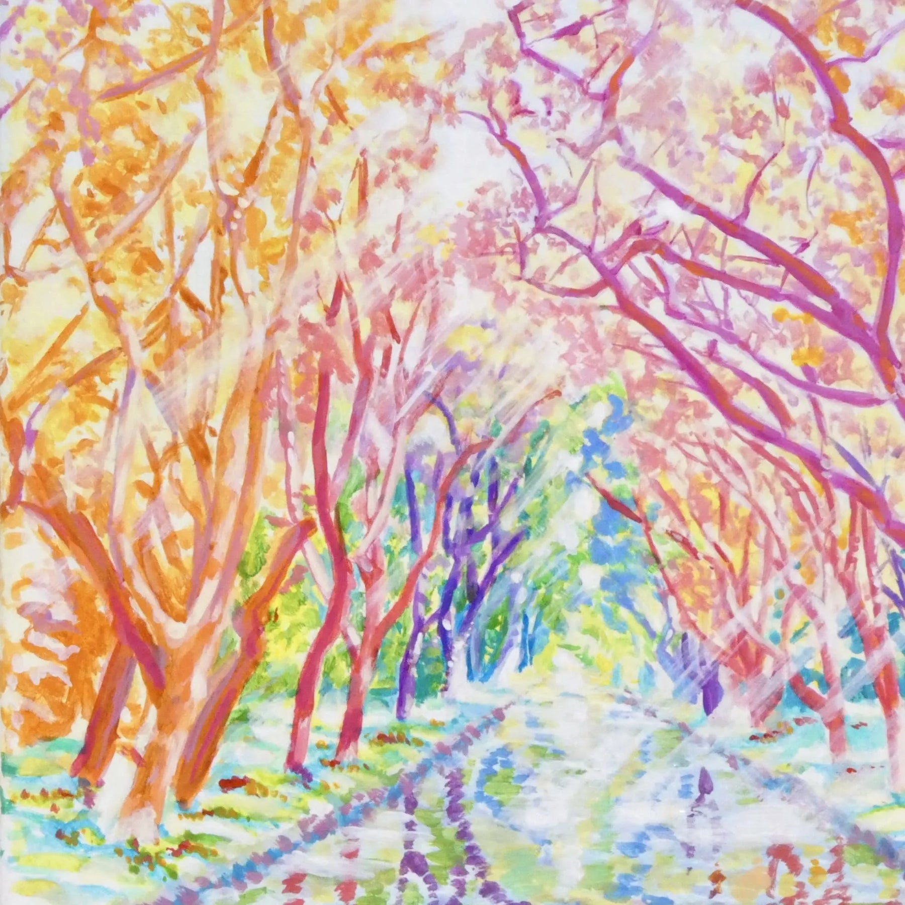 色彩の森 静かな川 2